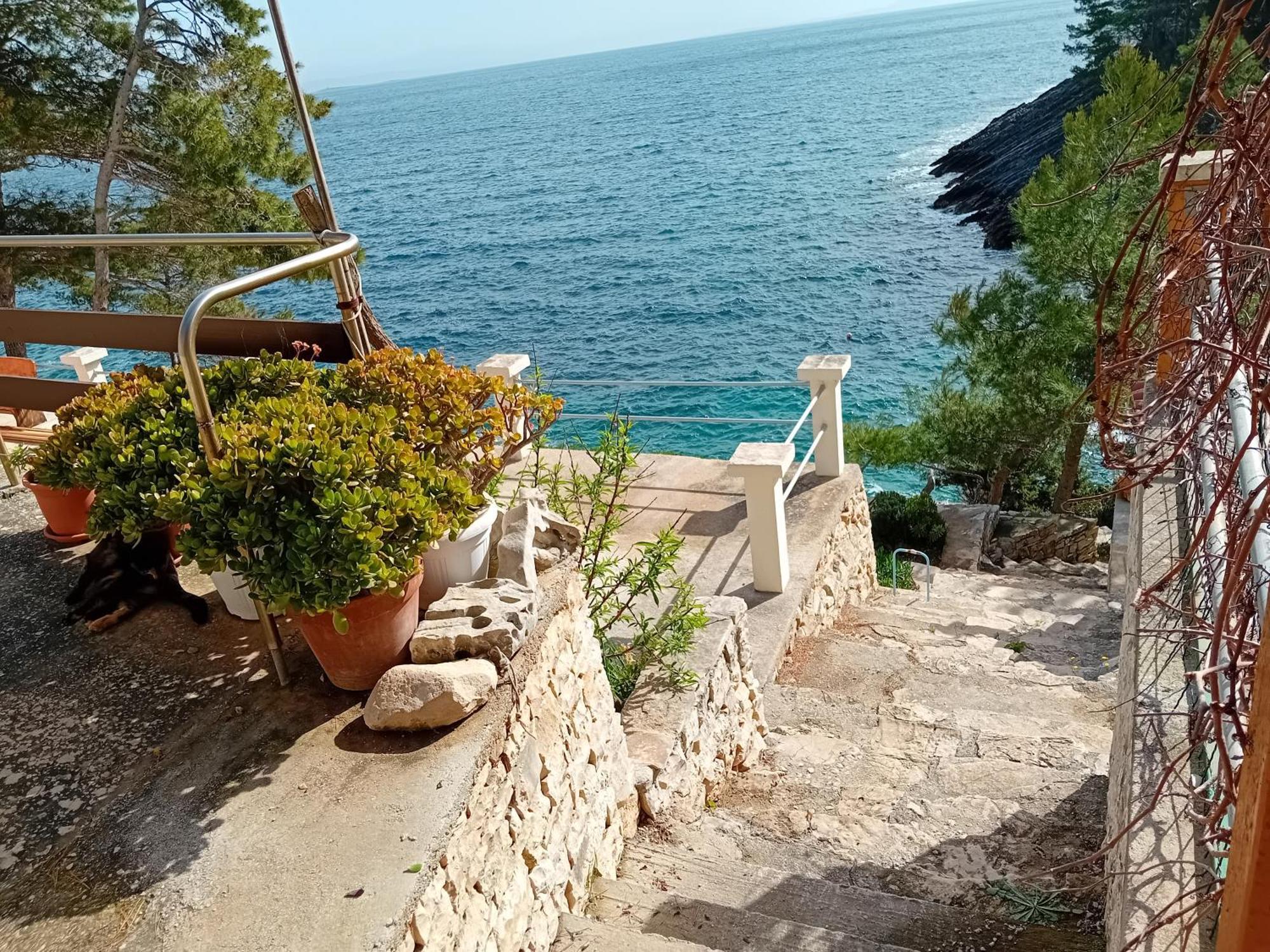 Villa Modern Robinson Veli Bare Vela Luka Esterno foto