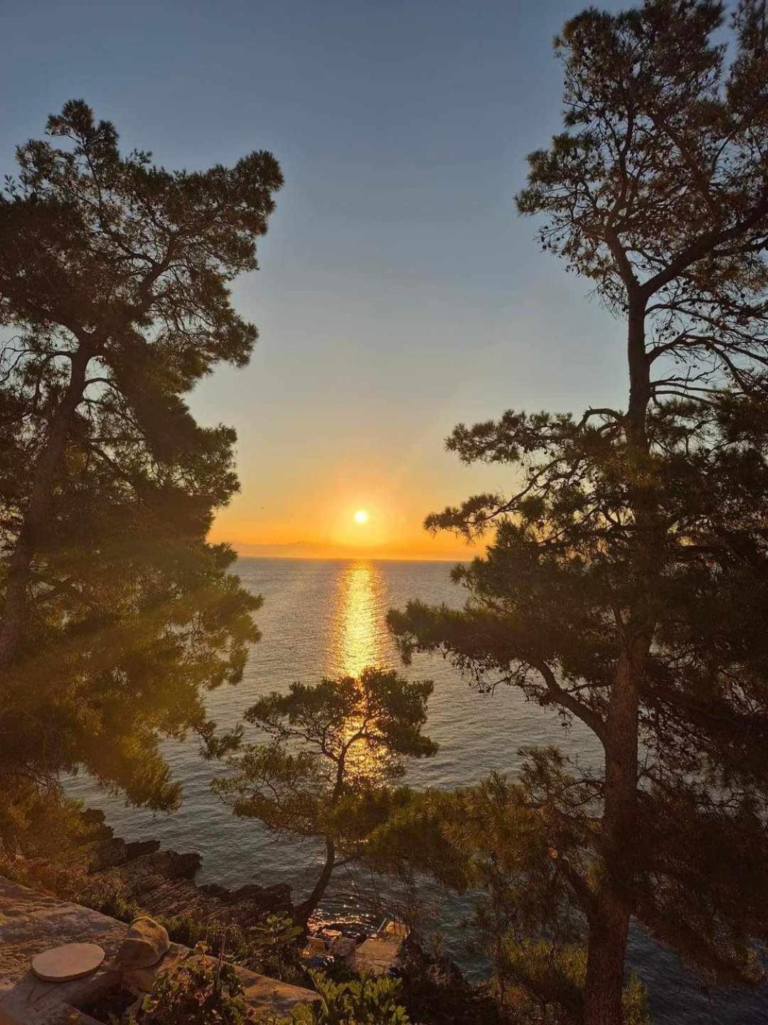Villa Modern Robinson Veli Bare Vela Luka Esterno foto