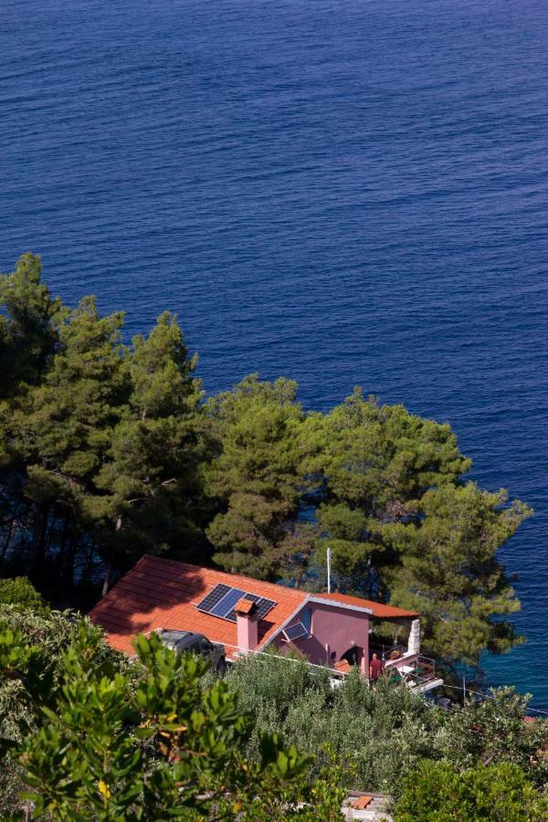 Villa Modern Robinson Veli Bare Vela Luka Esterno foto